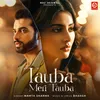 About Tauba Meri Tauba Song